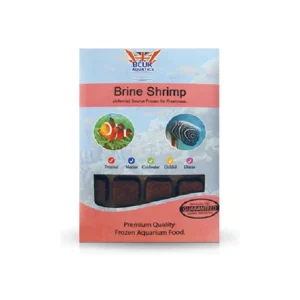 Delicius Shrimp In Brine Jar 100g x 10