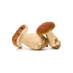 Fruttibosco Whole Porcini Mushrooms 540/ 540g x 1