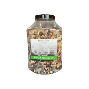 Realfungo Mushrooms 500G x 1